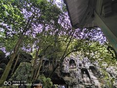 -灵隐飞来峰景区