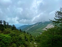 -朱雀国家森林公园