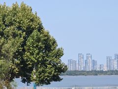 -东湖落雁景区