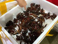 -江杨农产品批发市场