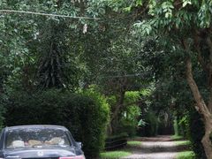 -Bamboo Saturday Market(Nana Jungle)