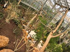 -南通洲际绿博园