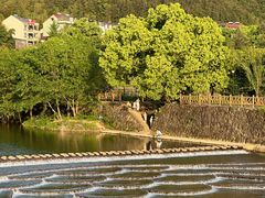 -芦茨金富饭庄·25年老字号·专做稻草鸡