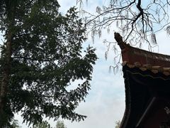 -南岳大庙