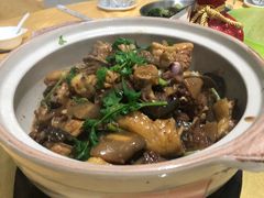 野生水鱼焖土鸡-大自然美食农庄(广州南站店)