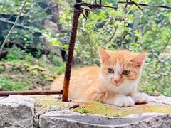 -崂山九水游览区