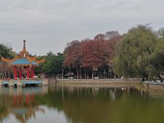 -金砂公园