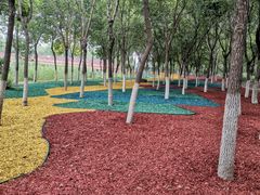 -大兴滨河森林公园