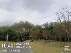 -九科绿洲