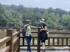 -铁山坪森林公园