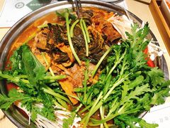 -韩香福脊骨汤锅(上杭路店)