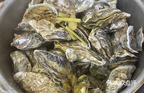 Mini Oysters in Pressure Cooker