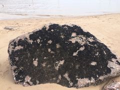 -北岐滩涂