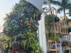 -深圳仙湖植物园