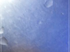 -霸王虾·麻辣小龙虾(清水河公园店)