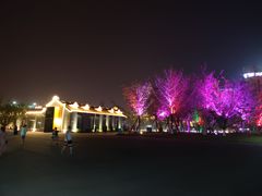 -蜀九香火锅(江油店)