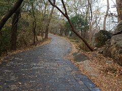 -紫金山索道-售票处