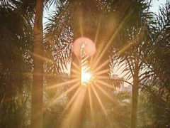 -海南清水湾莱佛士酒店