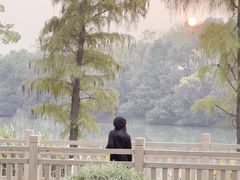 -艾溪湖湿地公园