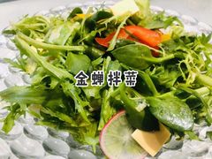 -金蝉食府(维吉奥广场店)