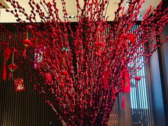 -上海柏悦酒店