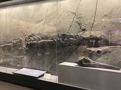 -贵州省地质博物馆