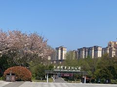 -洋湖国家湿地公园