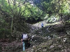 -雁荡山三折瀑景区