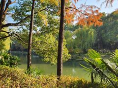 -新江湾城公园