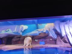 -皇家极地海洋世界-售票处