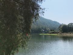 -九鲤湖风景区