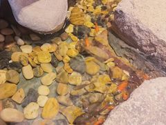 -邈墨茶馆(凤起路店)