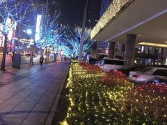 -大连富丽华大酒店