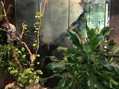 -山水雅居·江南雅宴(运河公园店)