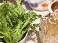 -蒙都43°9羊火锅·赤峰美食(宁城店)