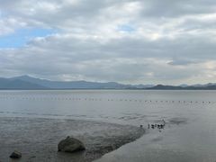 -深圳湾公园(南山区)