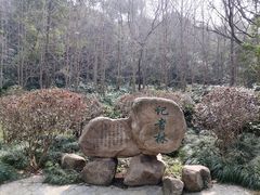 -赭山公园
