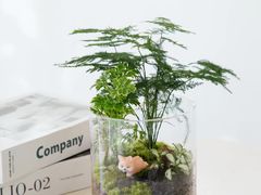 -弗劳尔花艺坊(龙涛店)