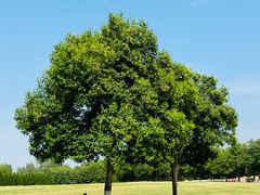 -汉长安城未央宫国家考古遗址公园