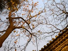 -西安化觉巷清真大寺