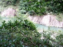 -龙湾潭国家森林公园