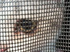 -纳吉亚猫专科动物医院博雅分院