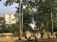 -大连森林动物园