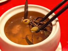 -春梅里卤鹅馆·47年老字号(中山路店)