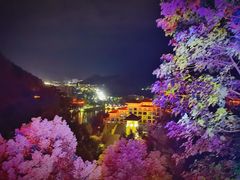 -宜春明月山维景国际温泉度假酒店