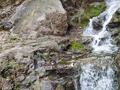 -狼牙山风景区