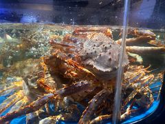 -徐记海鲜(大雁塔|金都店)