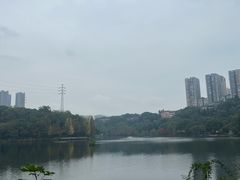 -重庆彩云湖湿地公园