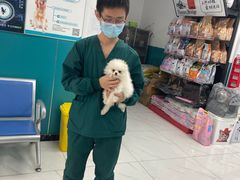 -乖乖宠物医院·猫科·急重症中心(车站北路分院)
