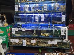 水产区-香满居张记小厨私房菜(青岛站店)